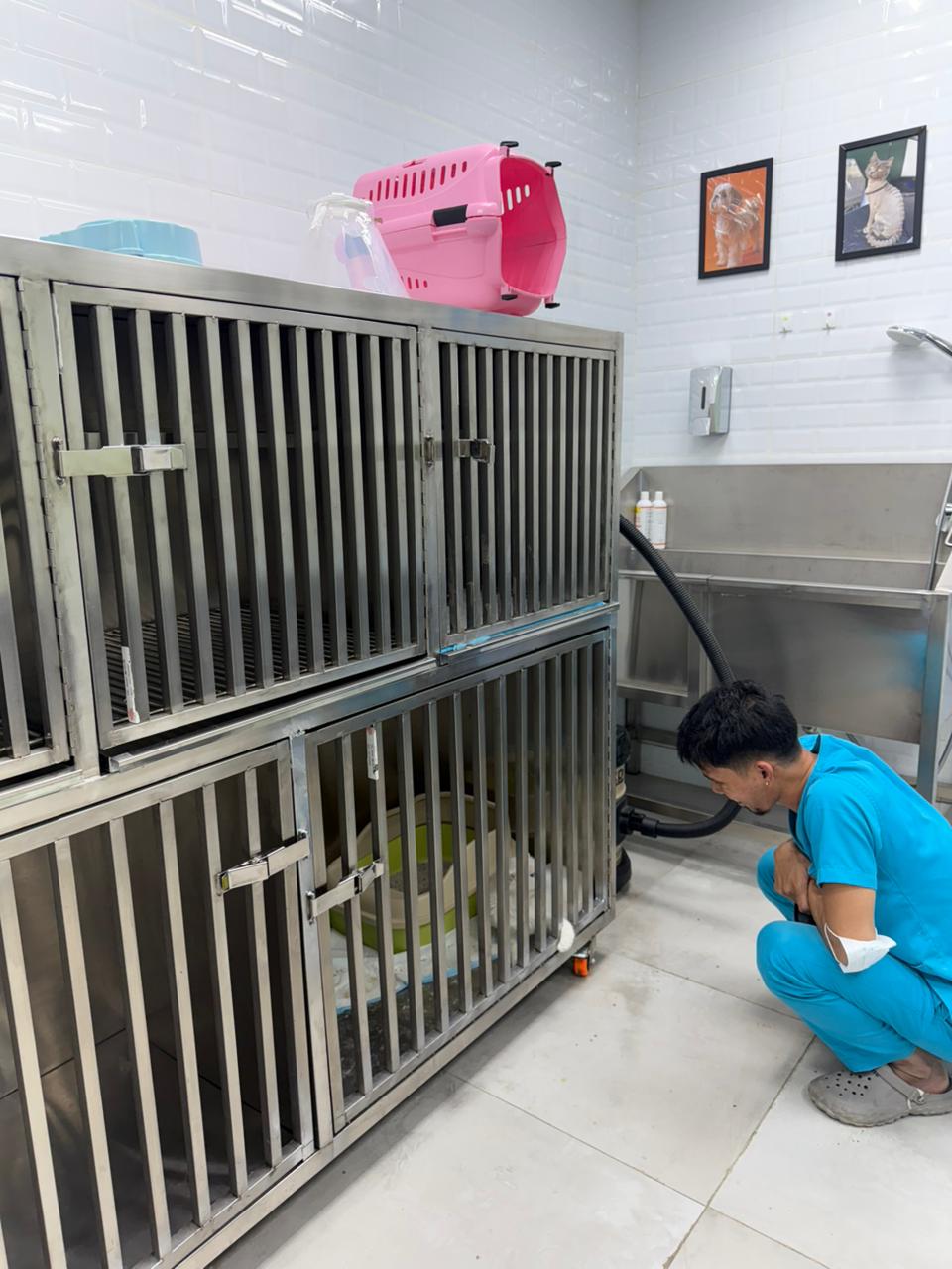 فندق الحيوانات