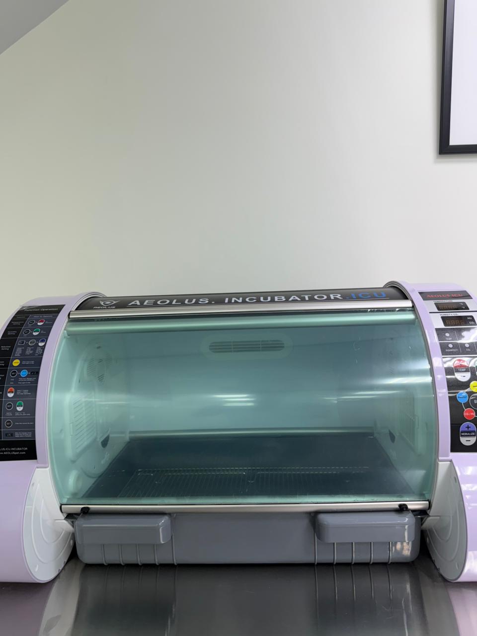 العناية المركزة