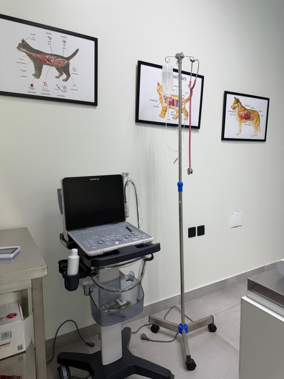 السونار والتشخيص